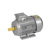 Двигатель Iek AIR 100 S (10121421IK)