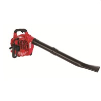 Suflantă/aspirator de frunze pe benzină Raider RD-GBV05