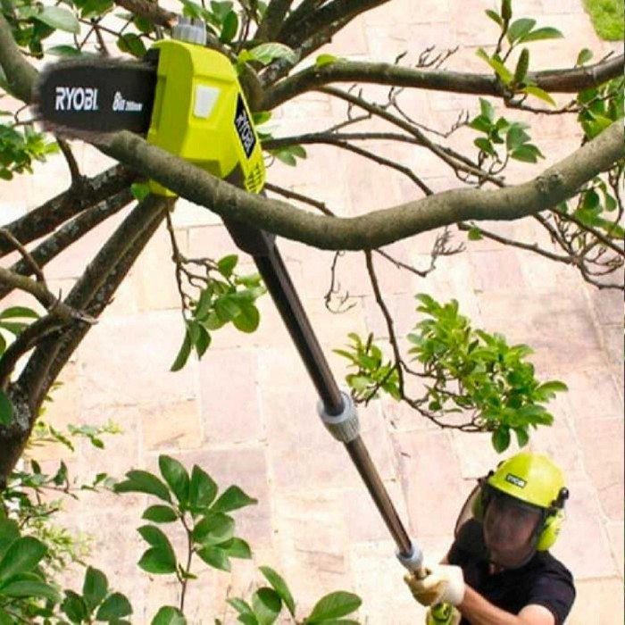 Пила телескопическая с аккумулятором Ryobi OPP1820 – Бензопилы - Дружбы