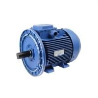 Двигатель Engine AIR 132 M (10130211)