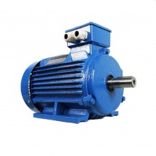 Двигатель Engine AIR 132 M (10130411)