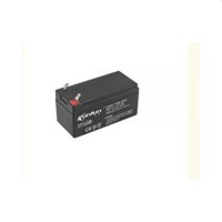 Аккумулятор для опрыскивателя TechnoWorker 12V12AH