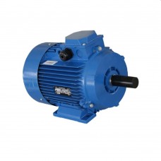 Двигатель Elmos PowMr AIR 112M A 6 (10121611)