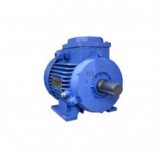 Двигатель Engine AIR 132 M8 (10125811)
