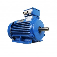 Двигатель Engine AIR 132 S (10127411)