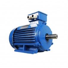 Двигатель Engine AIR 71 A (10111611)