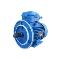 Motor AIR 80 B (10118421)