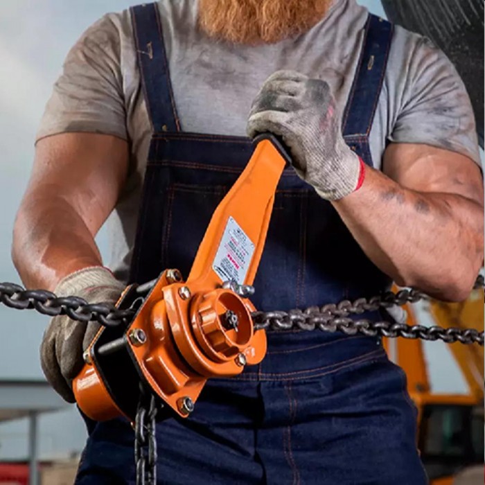 Лебедка ручная с цепью и пиявкой Ronix RH-4110 – Краны