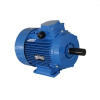 Двигатель Engine AIR 100 L (10118811)