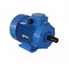 Двигатель Engine AIR 100 L (10120611)