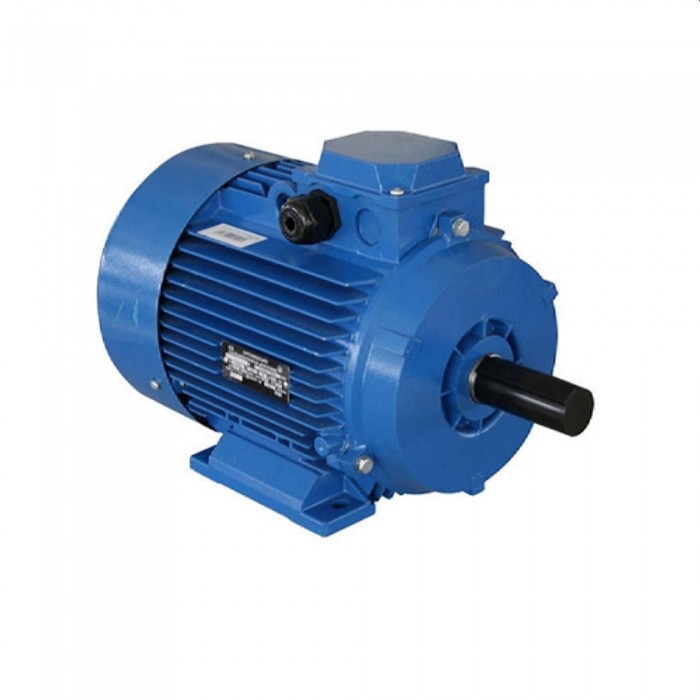 Двигатель Engine AIR 100 L (10120611) – Электродвигатели