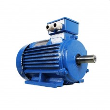 Двигатель Engine AIR 90 L (10114811)