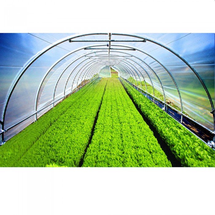 Folie verde anti-UV 120 microni 8x45 m – Folii și plase de umbrire