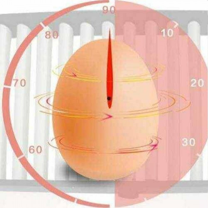 Инкубатор для яиц Demetra DM-36 – Инкубаторы