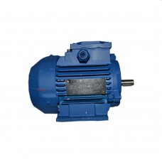 Двигатель Engine AIR 100 L 4-2 (10123311)
