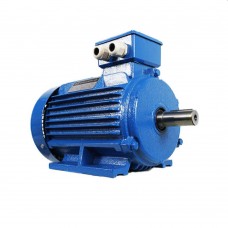 Двигатель Engine AIR 100 S (10123211)