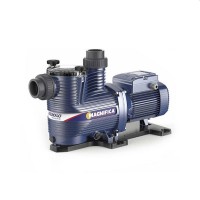 Pompa centrifuga Pedrollo Magnifica