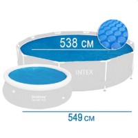 Nucă de castan pentru piscina Intex 29025