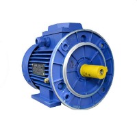 Motor Motor AIS 90 S6 (AIS90S6IM2081)