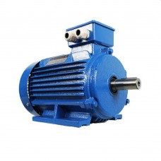 Двигатель Engine AIR 100 S (10121411)