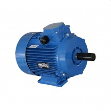 Двигатель Engine AIR 112 M (10123611)
