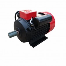 Двигатель Yamamoto YL100L-2