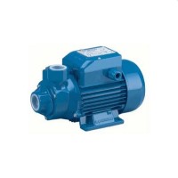 Насос поверхностный Pedrollo DM30
