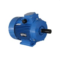 Двигатель Engine AIR 112 M (10121811)