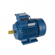 Двигатель Engine AIR 112 M (10127211)