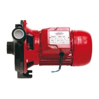 Pompă de suprafață Raider RD-CPM158
