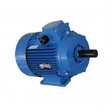 Двигатель Engine AIR 80 A (10111811)
