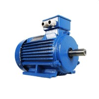 Двигатель Engine AIS 90 L (AIS90L2IM1081)